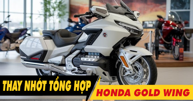 Tổng hợp các loại dầu nhớt cho xe Gold Wing tốt nhất hiện nay