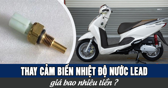 Thay cảm biến nhiệt độ nước Lead giá bao nhiêu?