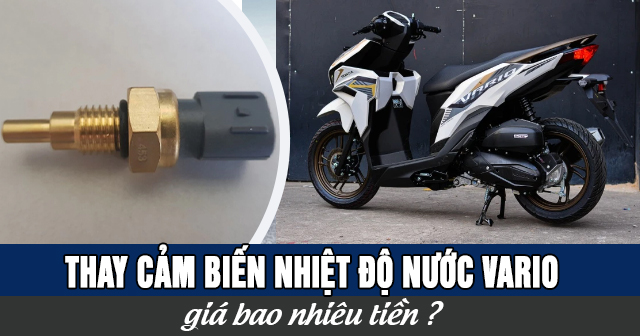 Thay cảm biến nhiệt độ nước Vario giá bao nhiêu?