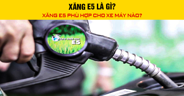 Xăng E5 là gì? Phù hợp cho xe máy nào?