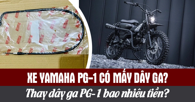 Xe Yamaha PG-1 có mấy dây ga? Thay dây ga PG-1 bao nhiêu tiền?