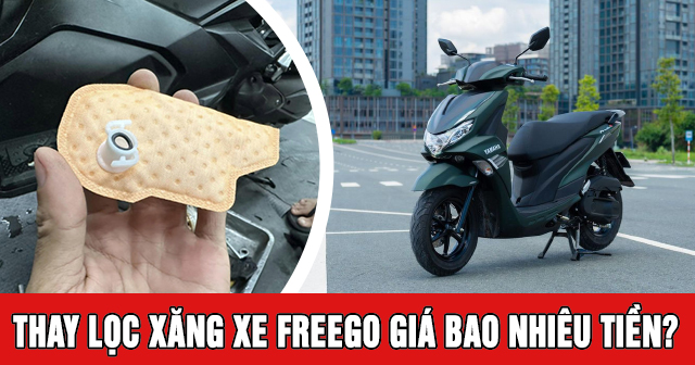 Thay lọc xăng xe Freego giá bao nhiêu tiền? 