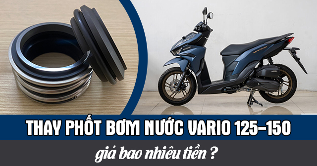 Thay phốt bơm nước Vario 125-150 bao nhiêu tiền?