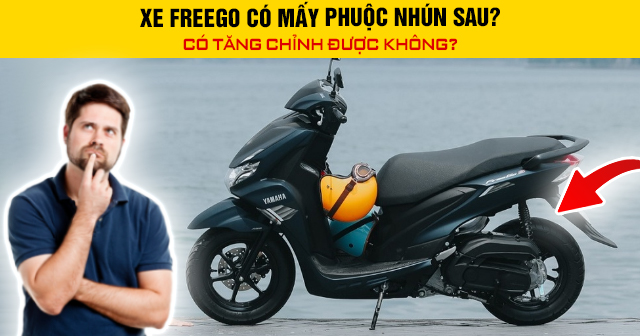 Xe Freego có mấy phuộc nhún sau? Có tăng chỉnh được không?