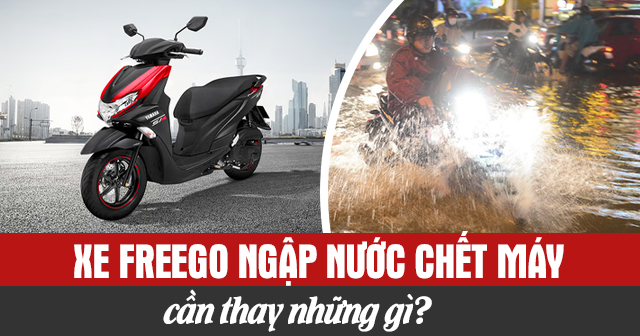 Xe Freego ngập nước chết máy cần thay những gì?