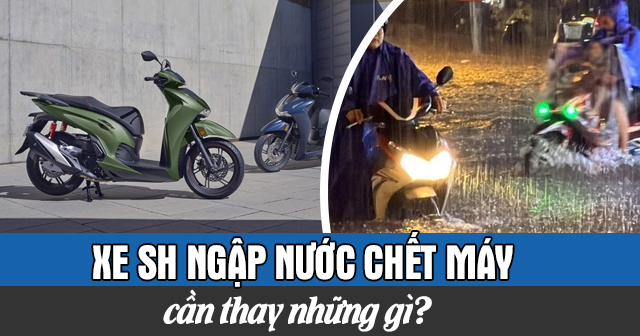 Xe SH ngập nước chết máy cần thay những gì?