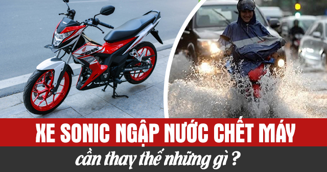 Xe Sonic ngập nước chết máy cần thay những gì?