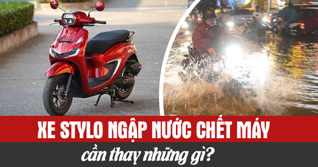 Xe Stylo ngập nước chết máy cần thay những gì?