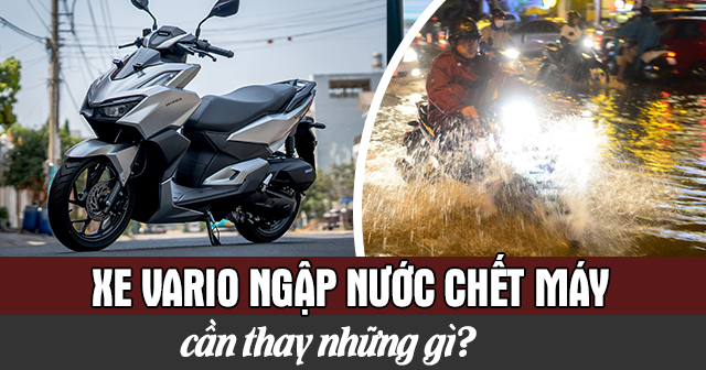 Xe Vario ngập nước chết máy cần thay những gì?