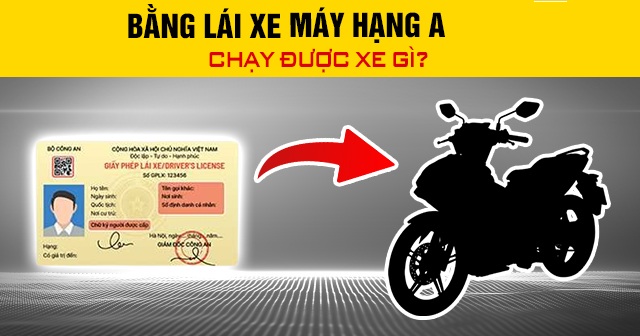 Bằng lái hạng A chạy được xe gì?