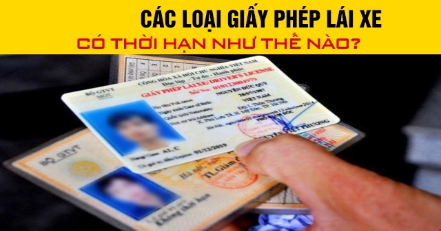 Năm 2026, các loại giấy phép lái xe có thời hạn như thế nào?
