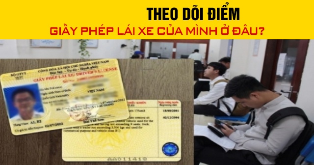 Năm 2026, theo dõi điểm giấy phép lái xe của mình ở đâu?