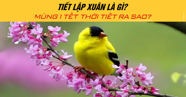 Tiết lập xuân là gì? Mùng 1 Tết Âm lịch 2026 thời tiết ra sao?