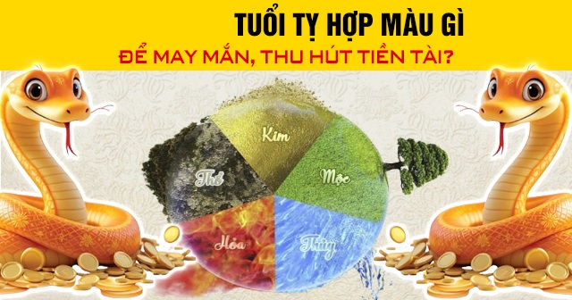 Tuổi Tỵ hợp màu gì để may mắn, thu hút tiền tài?
