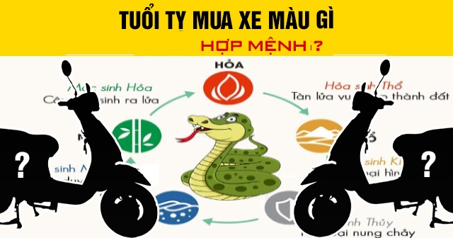 Tuổi Tỵ mua xe màu gì hợp mệnh theo phong thủy?