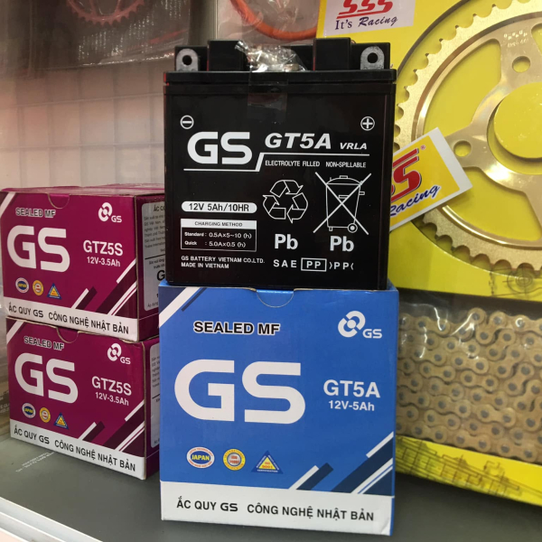 Bình ắc quy GS GT5A