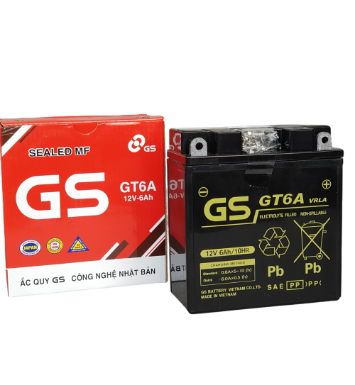 Bình ắc quy GS GT6A