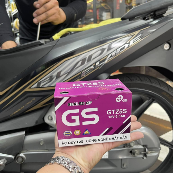 Bình ắc quy GS GTZ5S