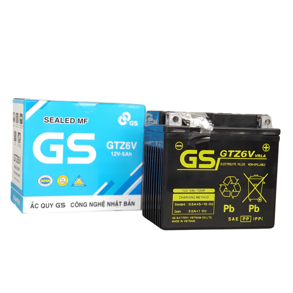 Bình ắc quy GS GTZ6V
