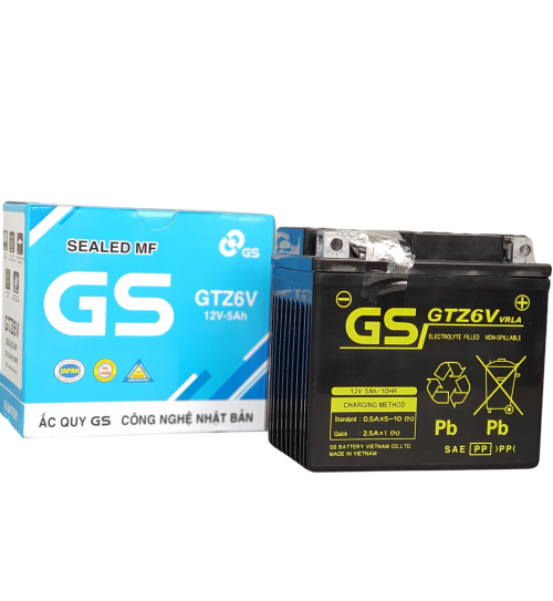 Bình ắc quy GS GTZ6V
